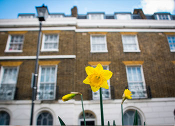 house prices mar 25